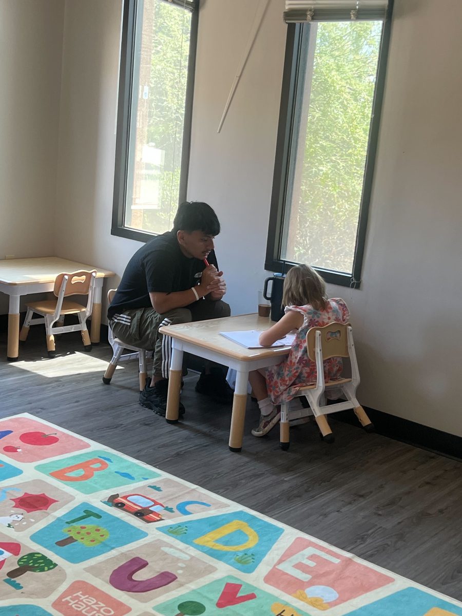 Therapist and client working through a worksheet